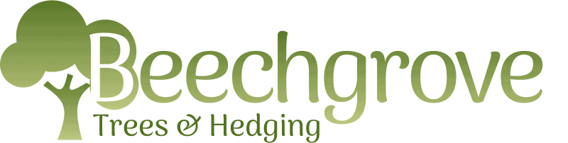 Beechgrove Trees & Hedging